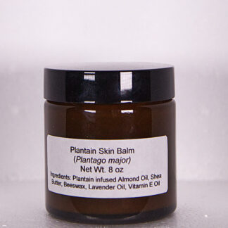 Lost in the Ozarks Plantain Skin Balm