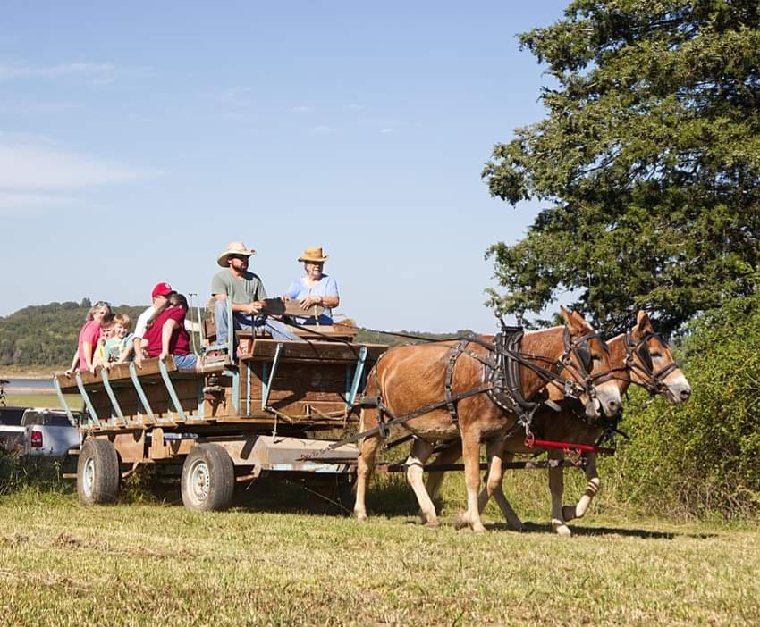 Wagon Rides