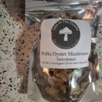 PoHu Oyster Mushrooms