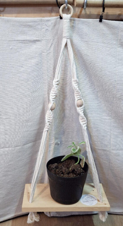 Macramé Plant Hanger with Wooden Base