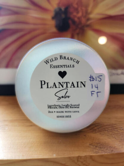 Salve Plantain